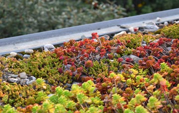 the cost of Aymestrey green roof installation