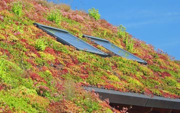 Aymestrey living roof systems